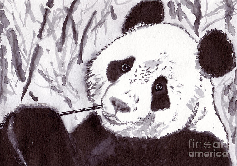 Wildlife Painting - Panda by Michael Rados Wildlife Painting - Panda by Michael Rados