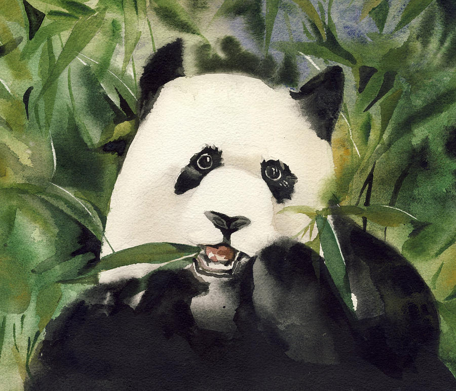 Panda Watercolor Painting by Alfred Ng