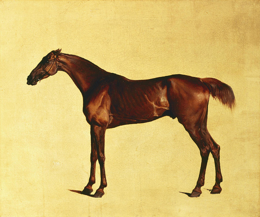 George Stubbs Painting - Pangloss by George Stubbs