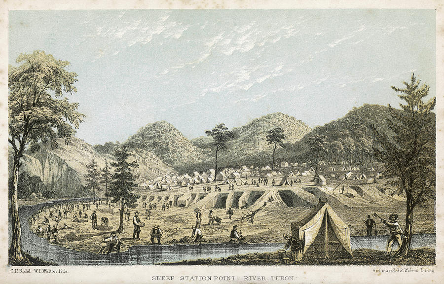 Panning For Gold At Sheep Station Drawing By Mary Evans Picture Library 