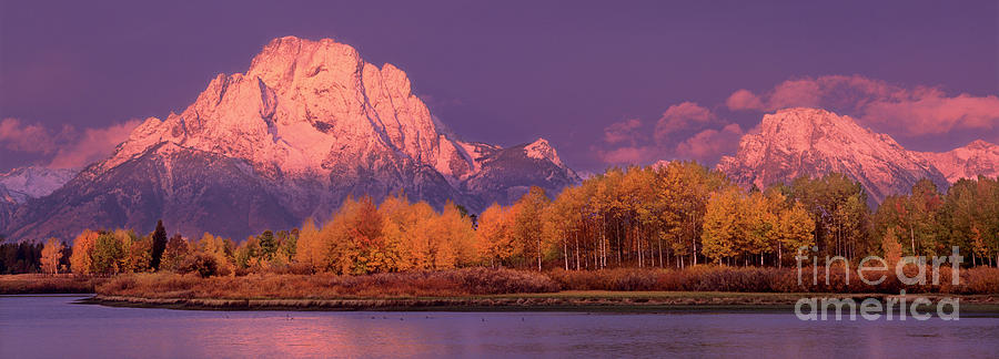 Panorama Dawn Lights Up Mount Moran in Grand Tetons National Park Photograph by Dave Welling