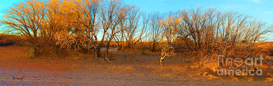 Tree Photograph - Panorama Just a Few More Leaves Left by Roena King