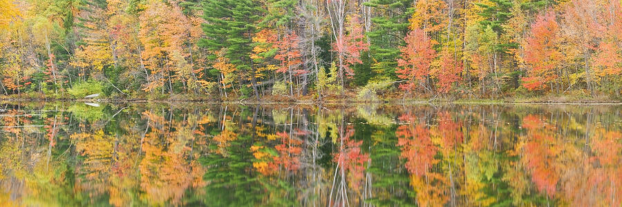 Panorama of Fall Color on Torsey Pond Readfield Maine Photograph by Keith Webber Jr