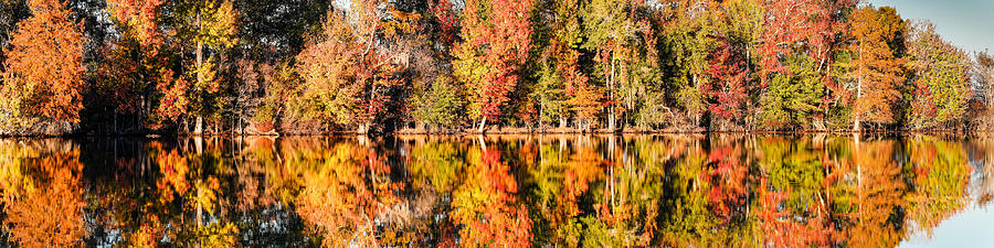Fall Photograph - Panorama of Fall Colors at Martin Dies Junior State Park - Jasper Piney Woods East Texas by Silvio Ligutti