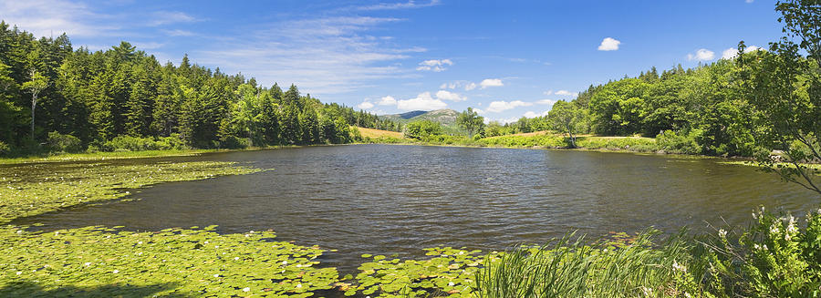 panorama of Long Pond In Summer Acadia National Park Photograph Photograph by Keith Webber Jr