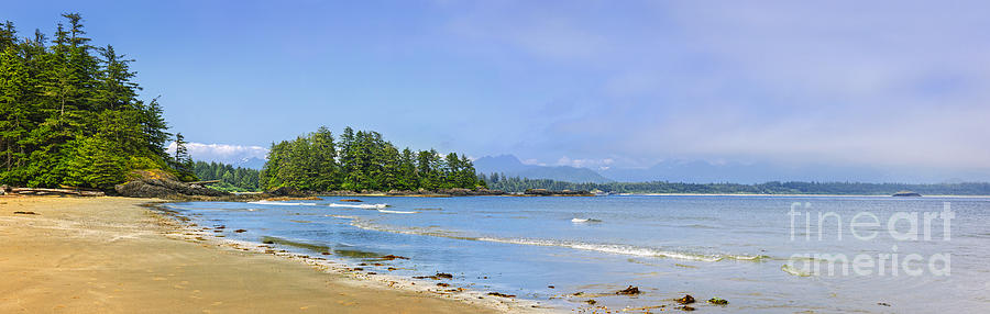 Tree Photograph - Panorama of Pacific coast on Vancouver Island by Elena Elisseeva