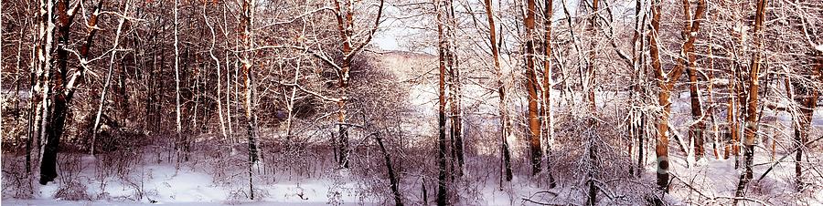 Panorama of Winter Wonderland Photograph by Rita Brown