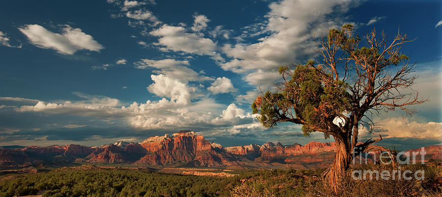 Panorama Summer Storms Near Zion National Park Utah Photograph by Dave Welling