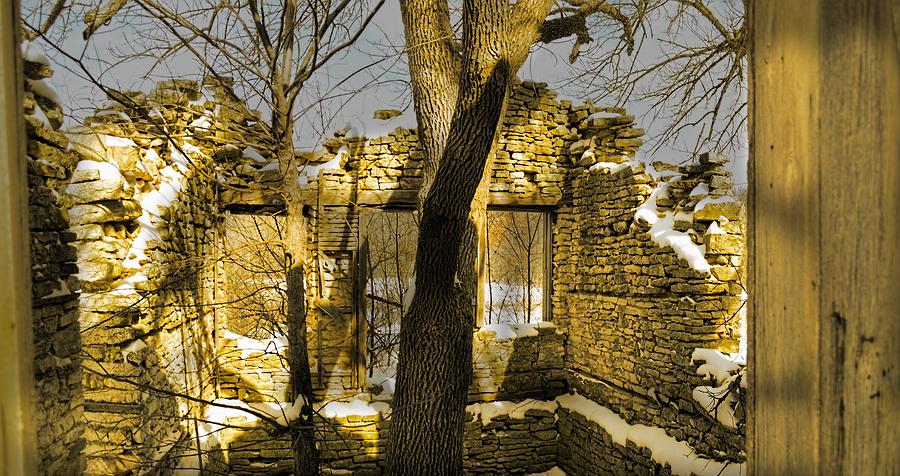 Panorama Tree House Photograph by Bonfire Photography