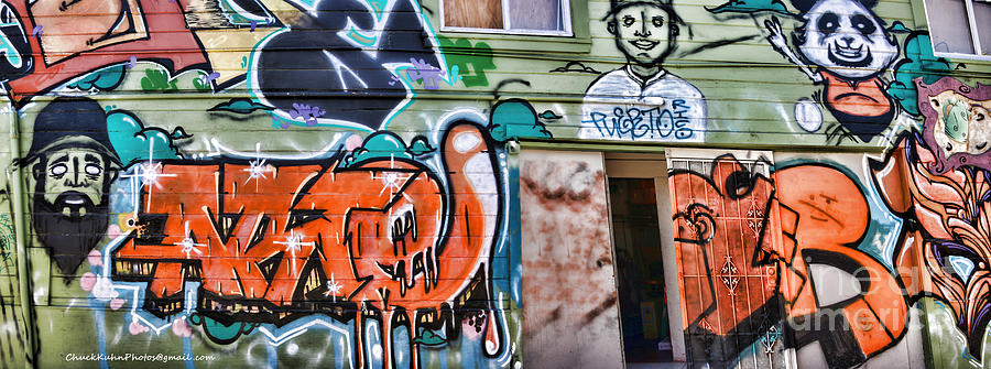 Panoramic IV Graffiti Art  Photograph by Chuck Kuhn
