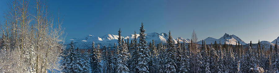 Panoramic Landscape Of The Chugach Photograph by Kevin Smith / Design Pics