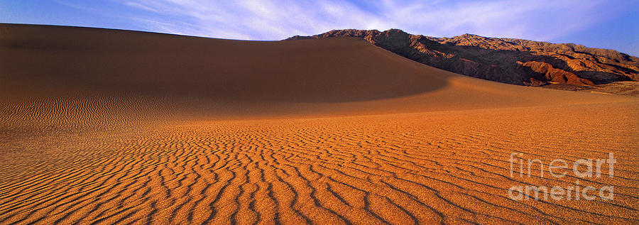 Panoramic Mesquite Sand Dune Patterns Death Valley National Park Photograph by Dave Welling