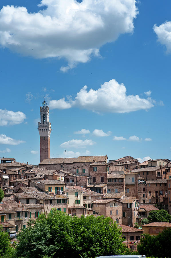 Panoramic View Of Siena Photograph by Marta Nardini