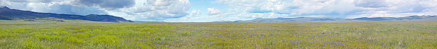 Mountain Photograph - Panoramic View Of Spring Grasslands by Panoramic Images