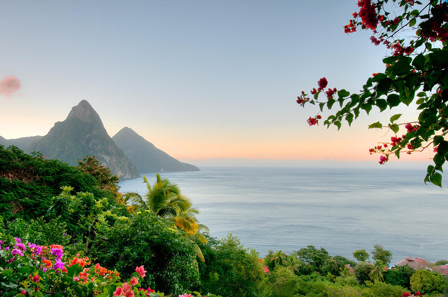 Panoramic view of St Lucias Twin Pitons at Sunrise Photograph by Wildroze