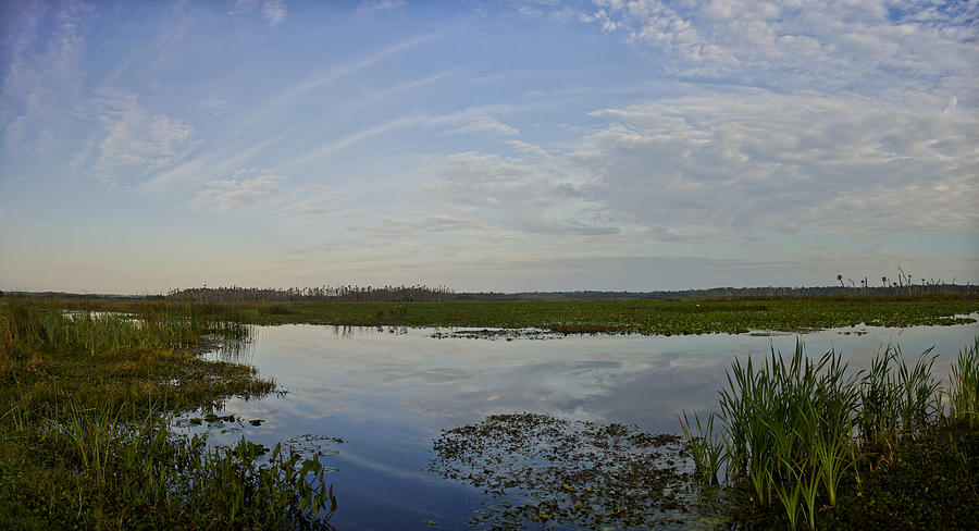 Panoramic Wetlands Photograph by Brian Kamprath