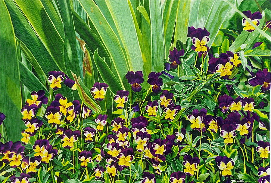 Nature Painting - Pansies by Gael Graysen
