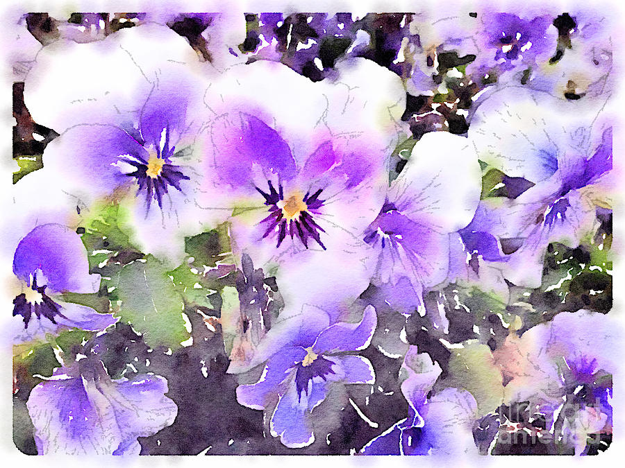 Abstract Painting - Pansies Watercolor by John Edwards
