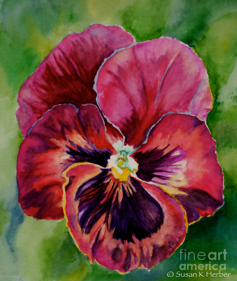 Pansy Play Painting by Susan Herber