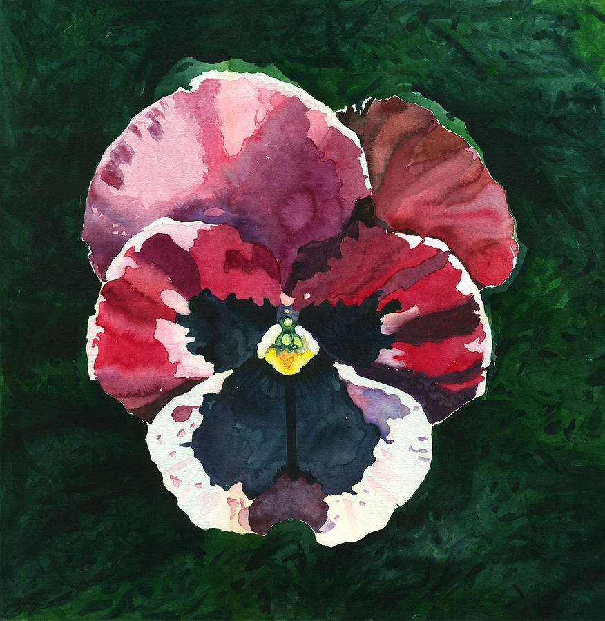 Pansy Red Painting by Katherine Miller