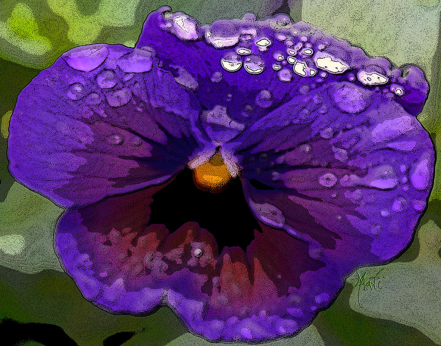 Pansy With Raindrops Photograph