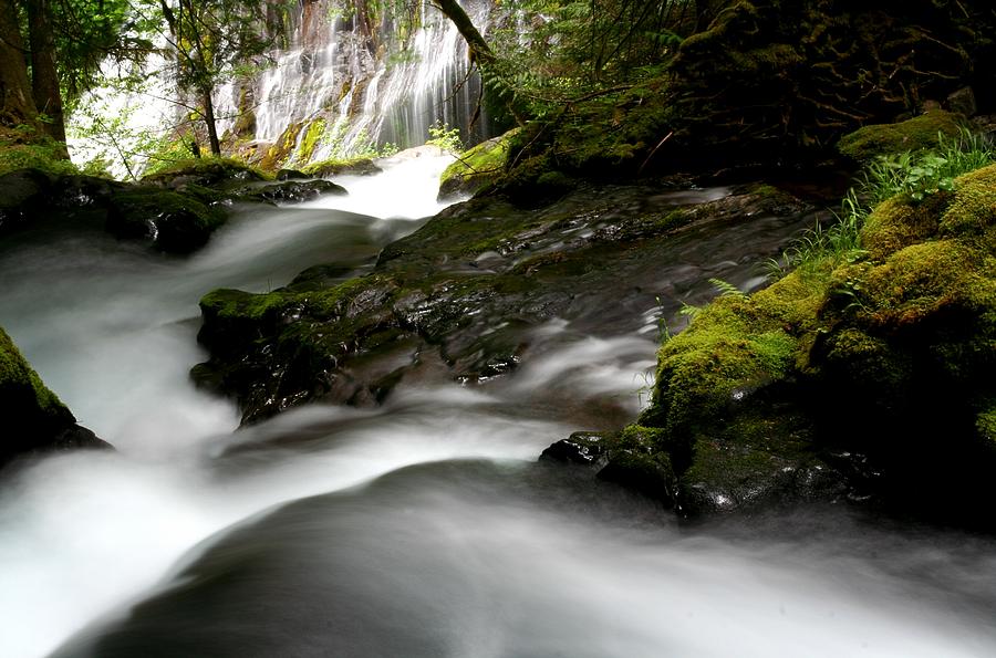 Panther Photograph - Panther Creek Falls at Columbia River Gorge by Jetson Nguyen