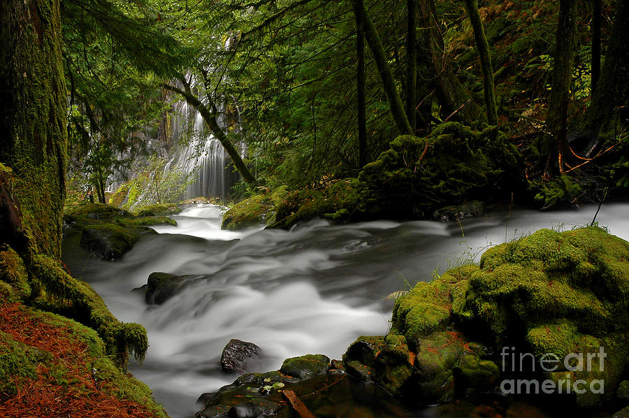 Cool Photograph - Panther Creek Falls by Nick Boren