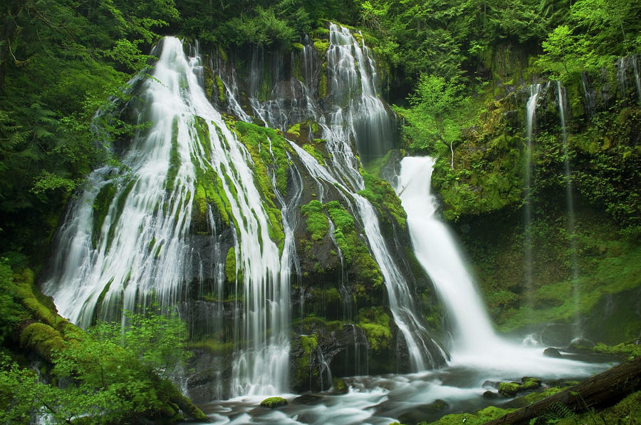 Panther Creek Falls, Washington Photograph by Alan Majchrowicz