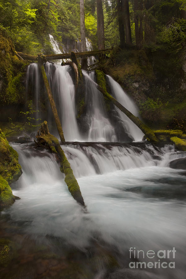 Panther Creek Falls Washington Photograph by Keith Kapple