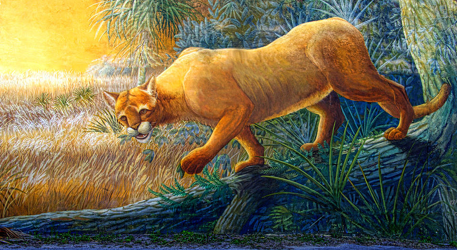 Wildlife Painting - Florida Panther - Painted Wall Mural by Linda Rae Cuthbertson