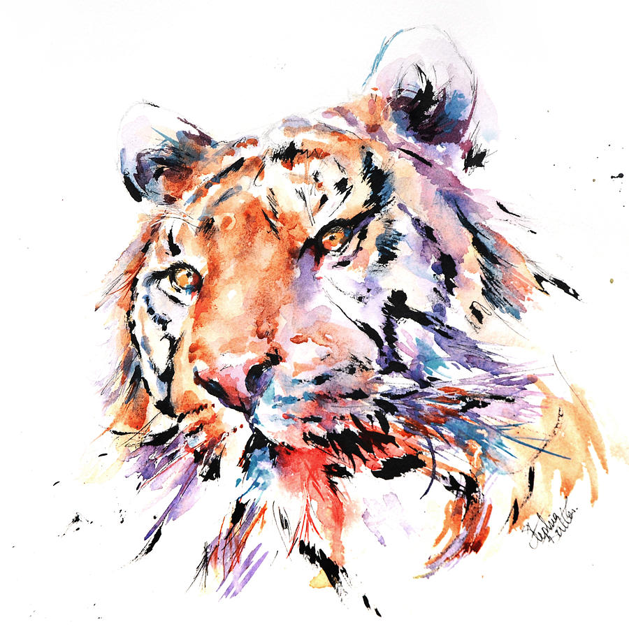 Tiger Painting - Panthera Tiger II by Stephie Butler