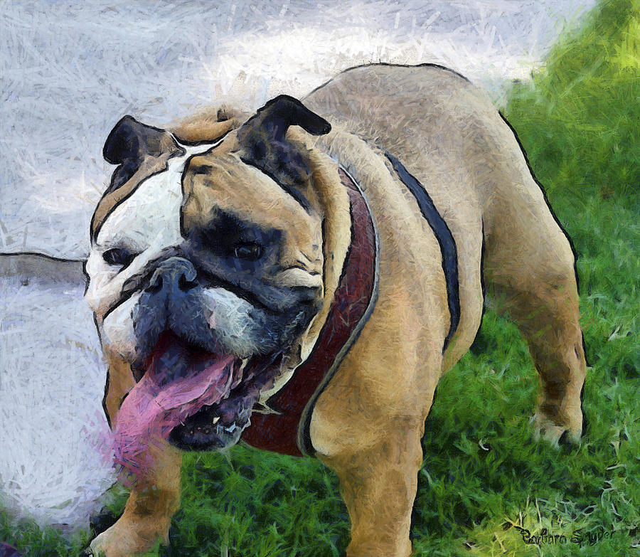 Animal Photograph - Panting Lady Bulldog Digital by Barbara Snyder