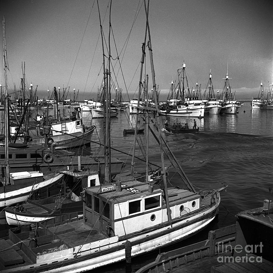 Monterey Photograph - PAOLINA T. Fishing Boats Monterey Harbor circa 1945 by Monterey County Historical Society