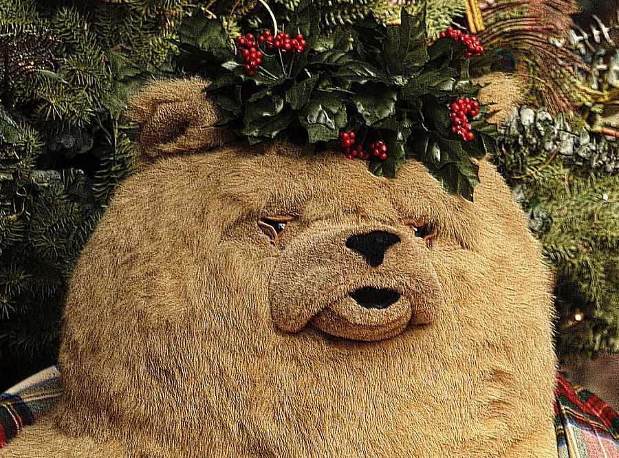 Papa Bear Gets Christmas Spirit Photograph by Nadalyn Larsen