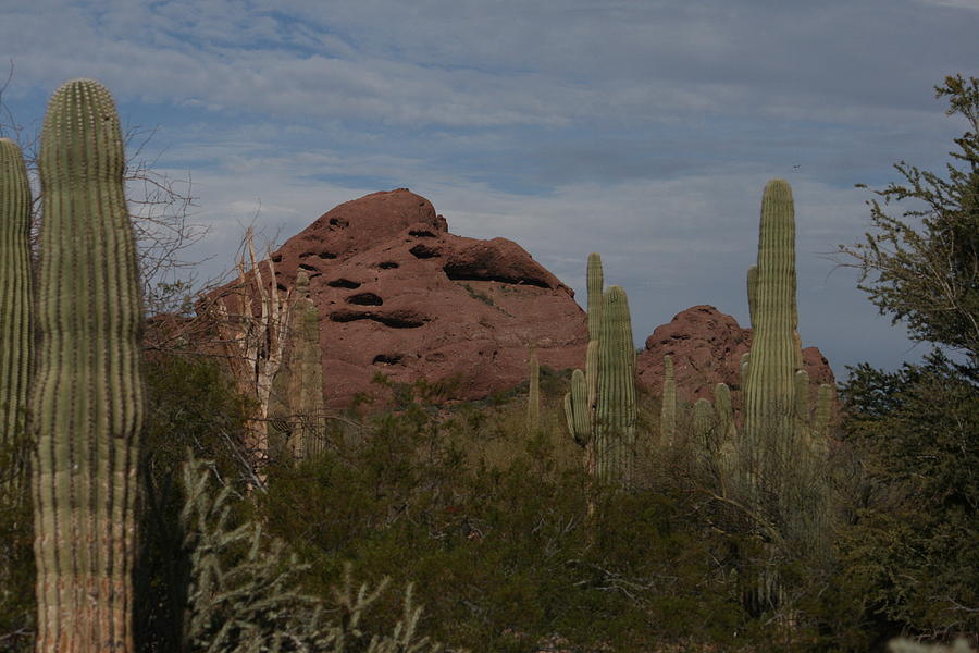 Papago Buttes Photograph by Grant Washburn