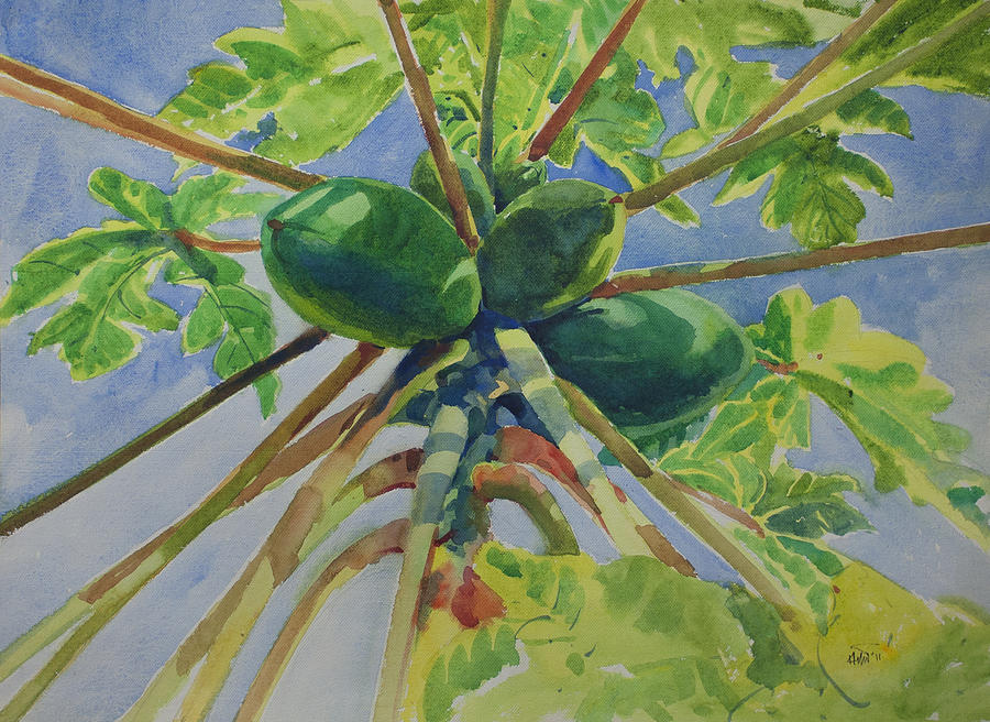 Papaya Painting by Helal Uddin