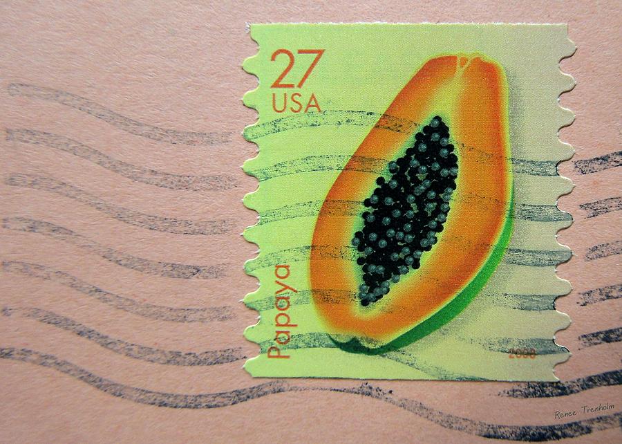 Papaya Stamp Photograph by Renee Trenholm