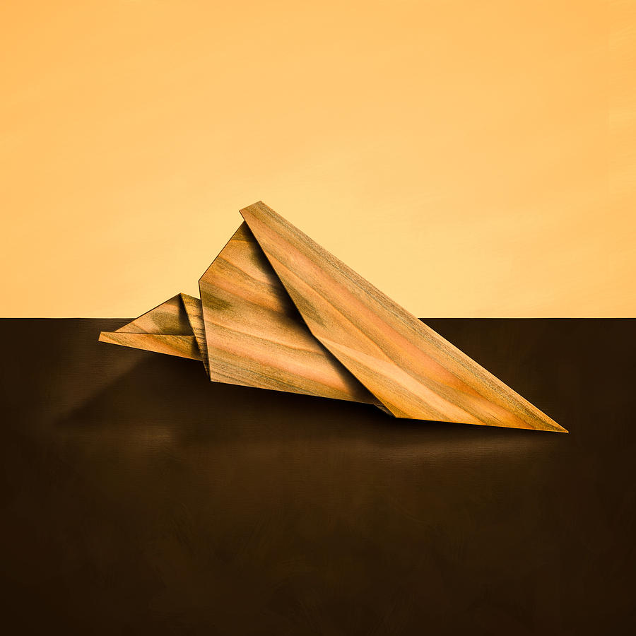 Still Life Photograph - Paper Airplanes of Wood 2 by Yo Pedro