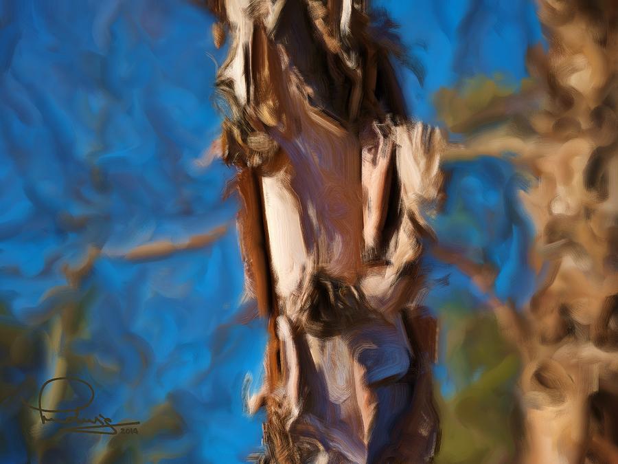 Paper Bark Birch Photograph by Ludwig Keck