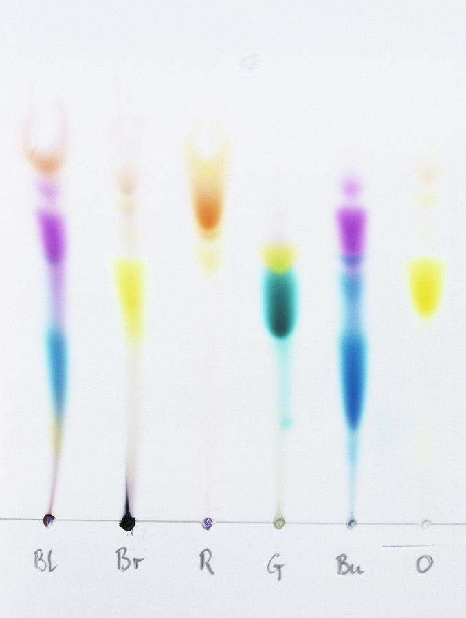 Paper Chromatography Photograph by Andrew Lambert Photography