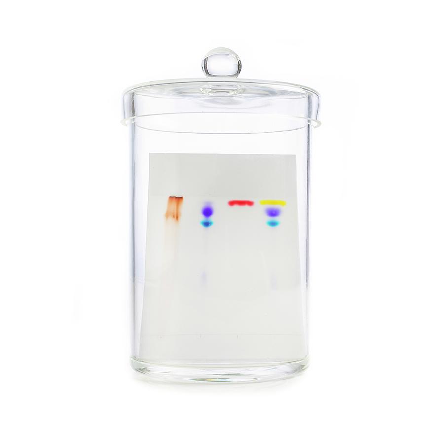 Paper Chromatography Photograph by Science Photo Library
