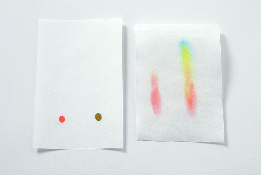 Paper Chromatography Test Sheet Photograph by Trevor Clifford Photography