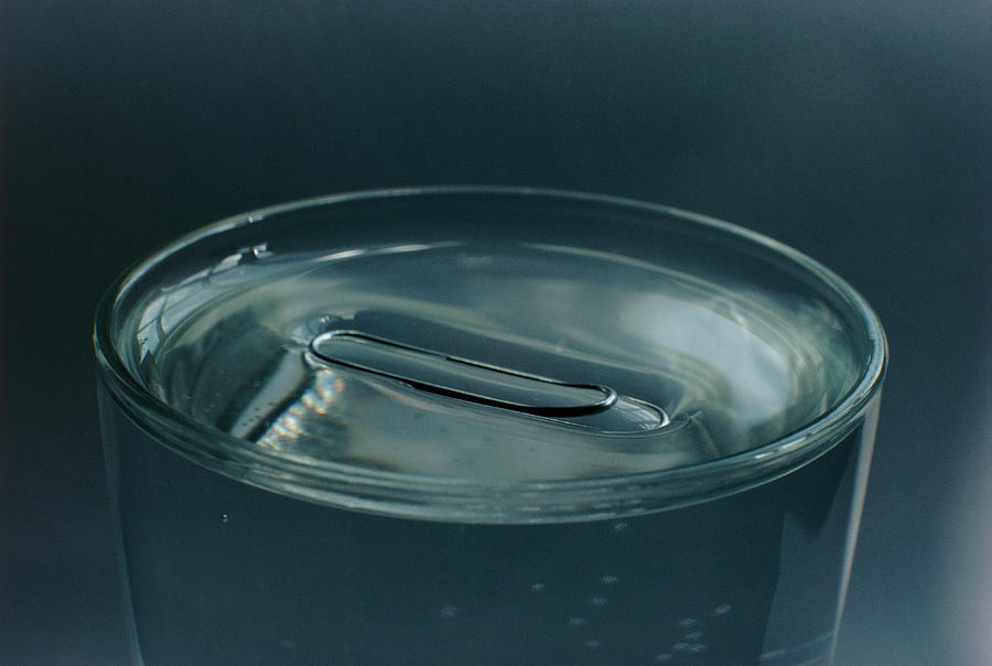 Surface Tension Photograph - Paper Clip Floating On Surface Of Water by Adam Hart-davis/science Photo Library