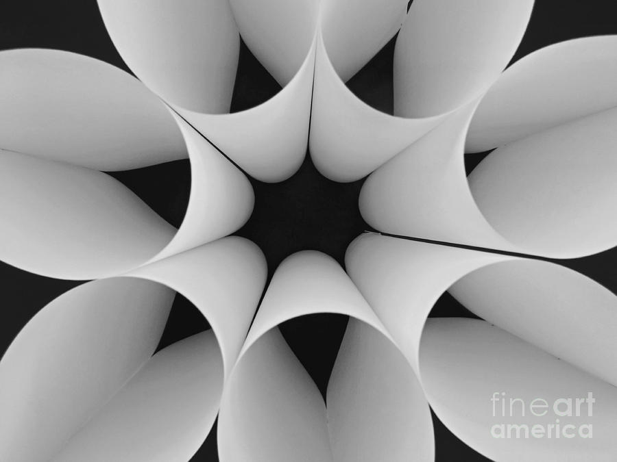 Black And White Photograph - Paper Flower Black and White by Clare Bevan