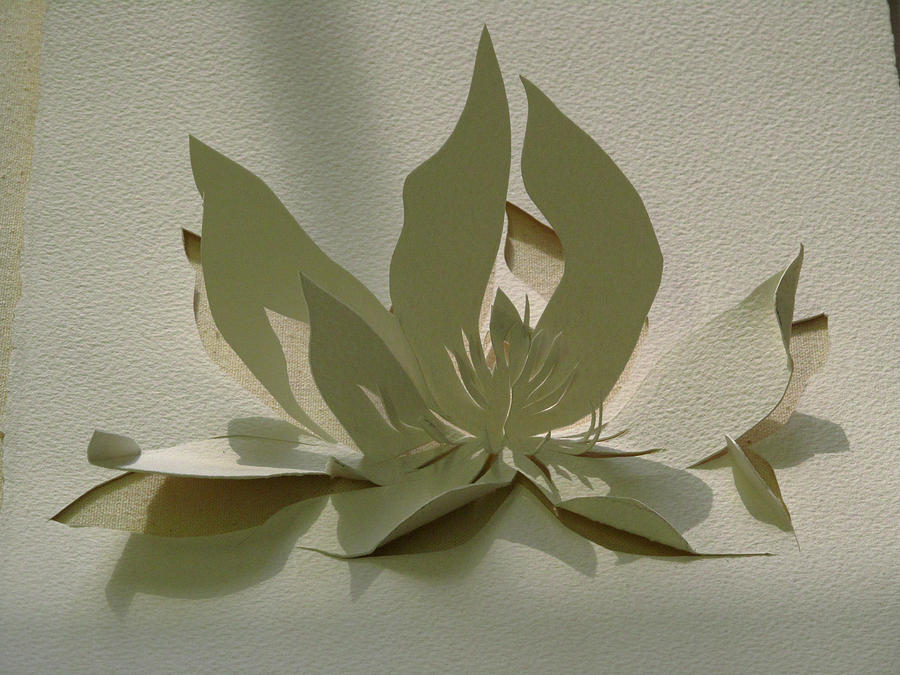 Paper Magnolia  Sculpture by Alfred Ng