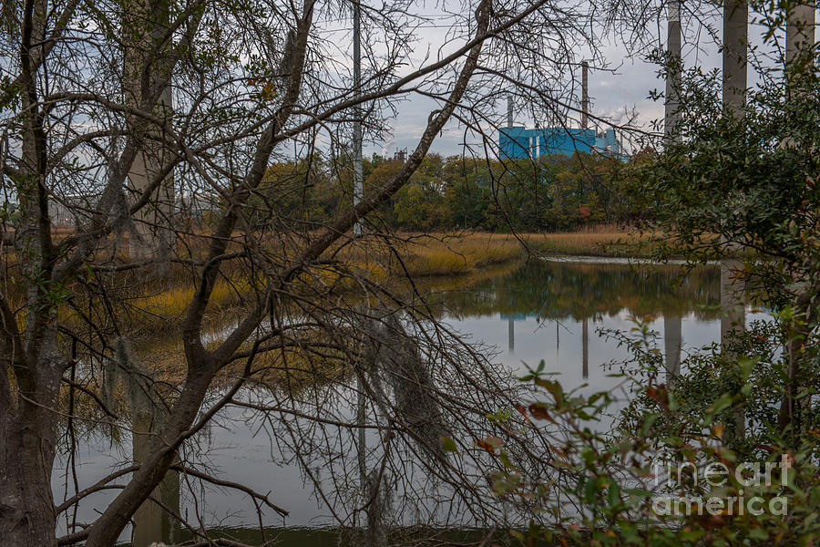 Paper Mill Through The Trees Photograph