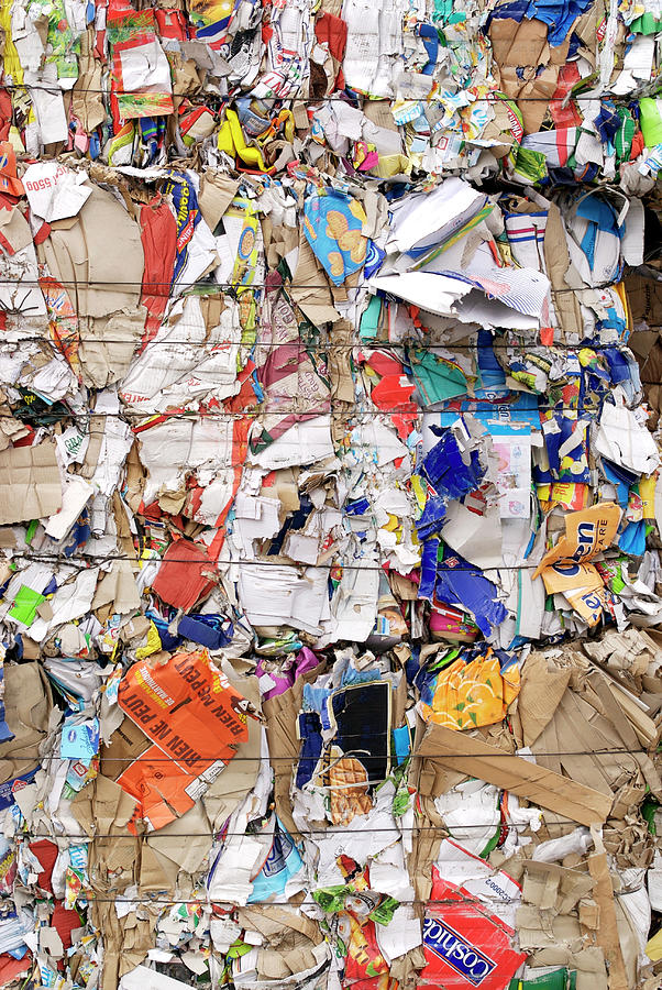 Paper Recycling Photograph by Lea Paterson/science Photo Library - Fine ...