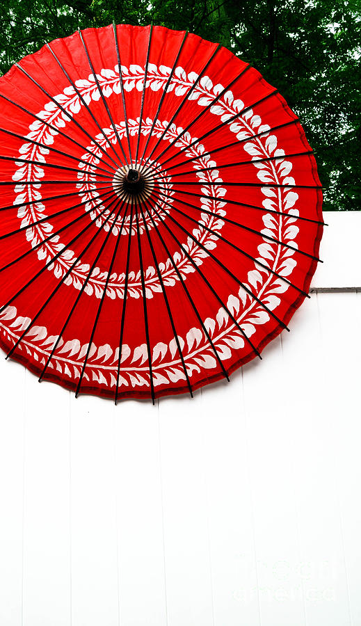 Paper Umbrella with Swirl Pattern on Fence Photograph by Amy Cicconi