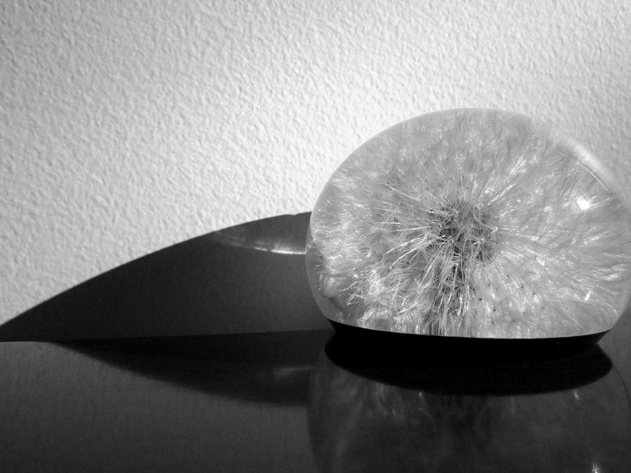 Paperweight in Sun Photograph by Mary Bedy