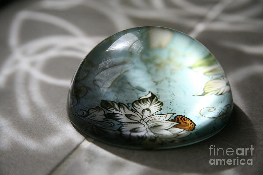 Paperweight Photograph by Lynn England